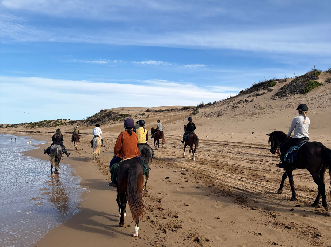 Cheval Essaouira-索维拉必去景点