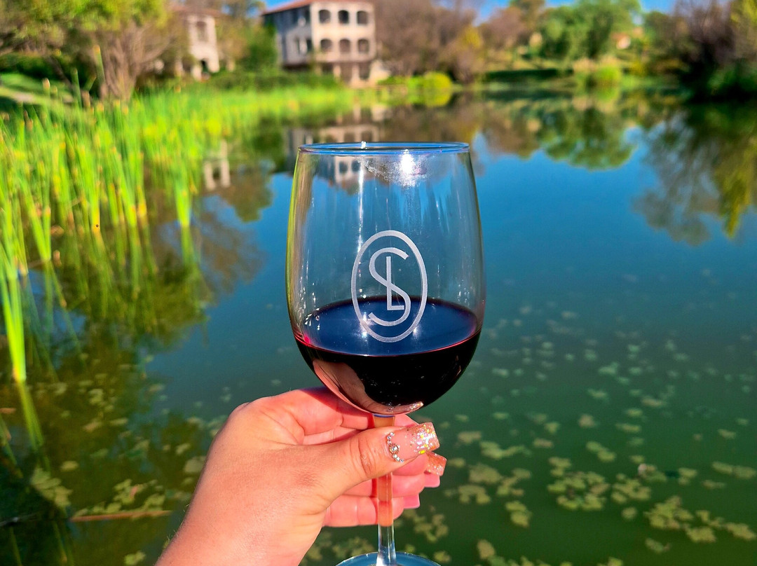 Viñedos San Lucas主图