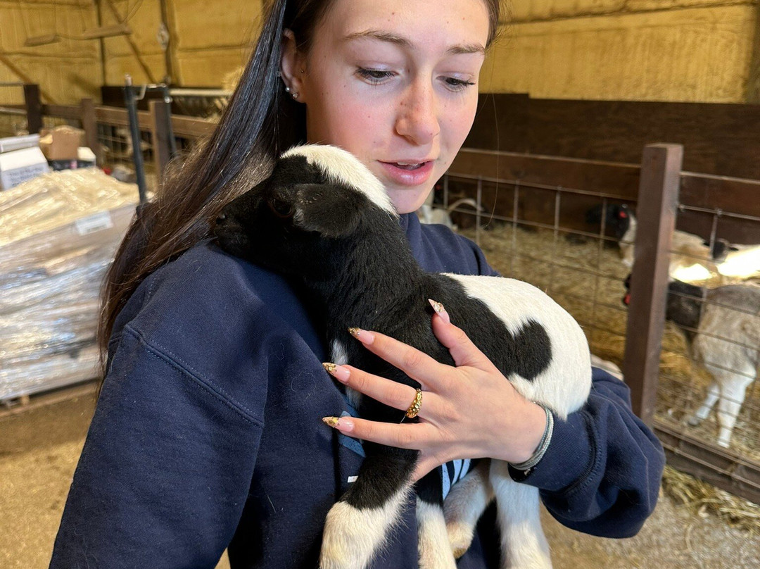 Cress Creeks Farm And Corn Maze-Ellijay必去景点