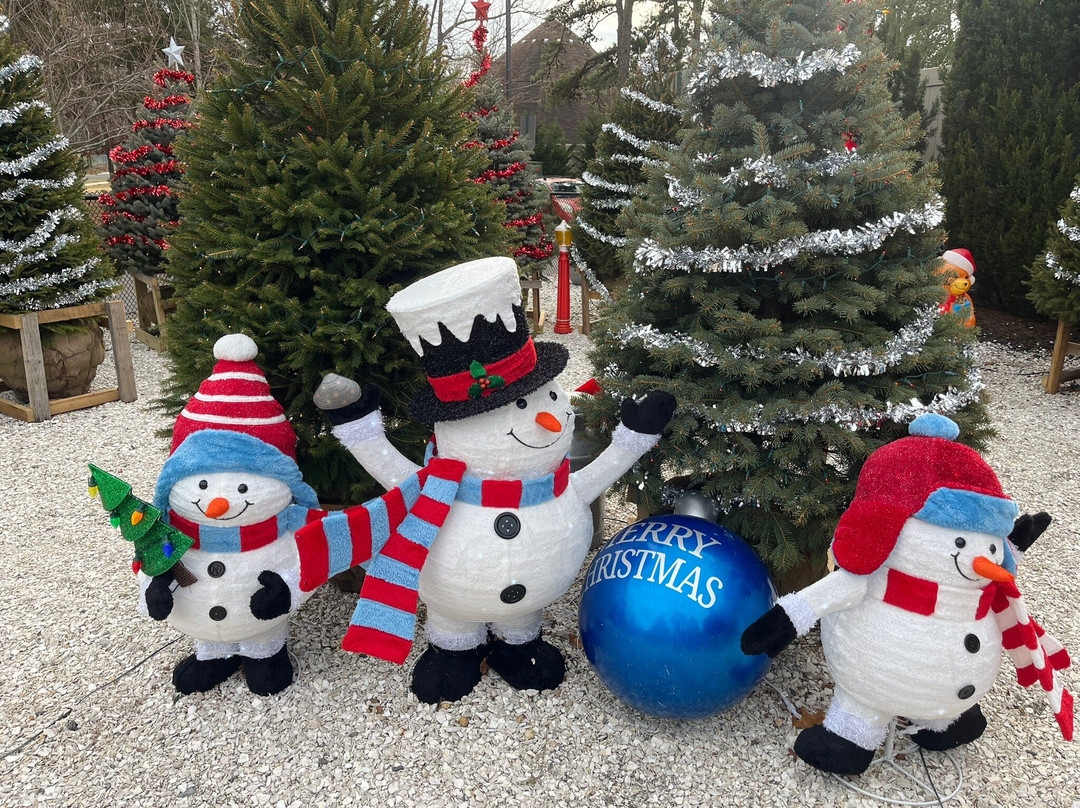 Holiday Inn Manahawkin/Long Beach Island By IHG at The Mainland主图