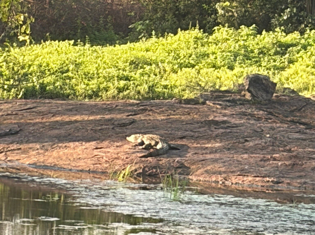 Udawalawe Safari Jeep With Guides-乌达瓦拉维国家公园必去景点