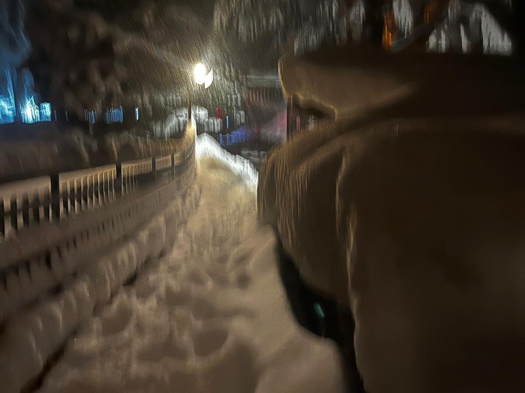 Limone Piemonte Comprensorio Sciistico-Limone Piemonte必去景点