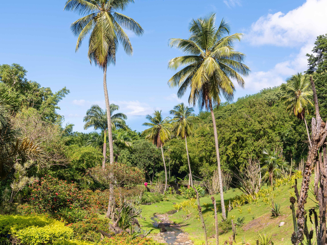 Zoo de Martinique-Le Carbet必去景点