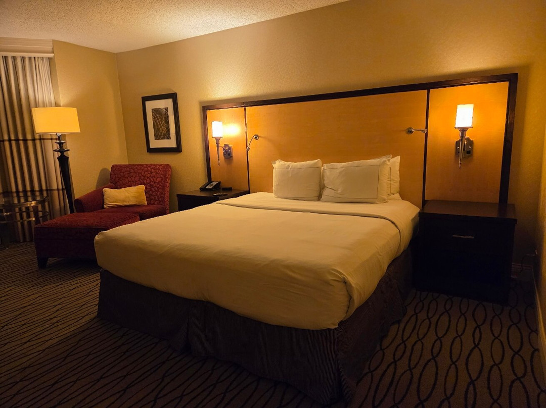 Hilton Rosemont/Chicago O'Hare主图