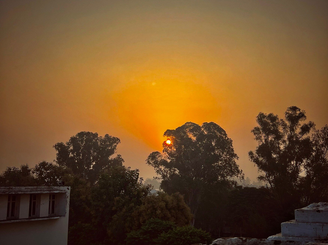 The Baradari Palace Patiala主图