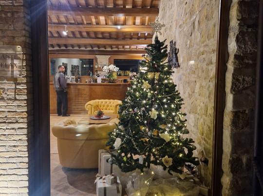 博尔戈朗恰诺黎莱斯贝奈赛雷酒店主图