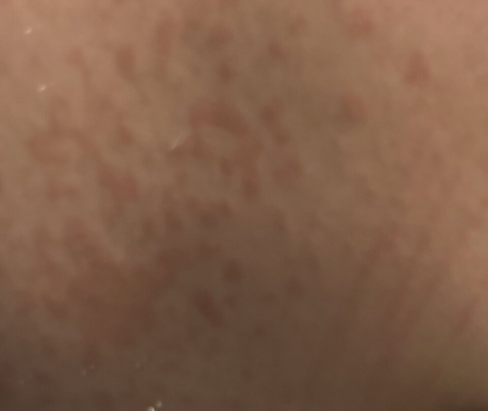 贝辛斯托克假日酒店主图