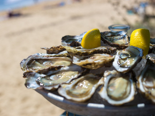 Bordeaux Tourisme Affaires-波尔多必去景点
