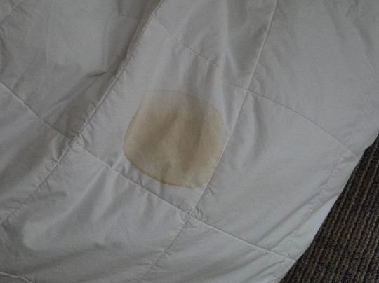 丽晶费尔班克斯酒店主图