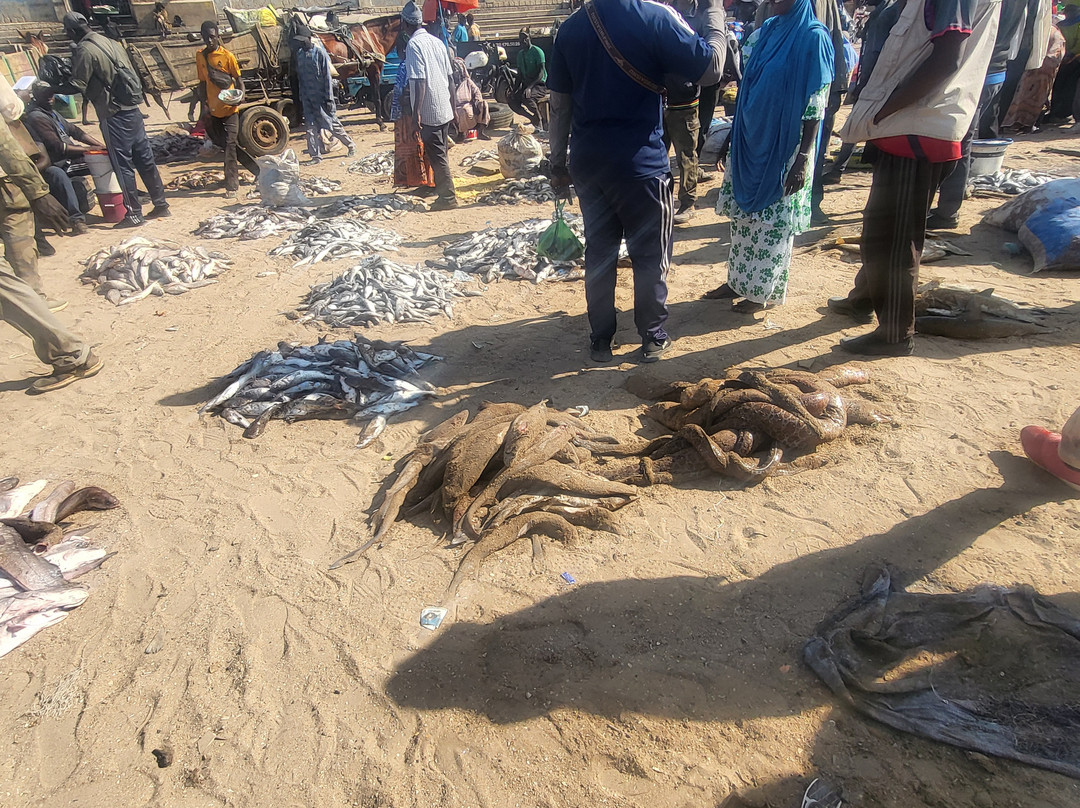 Riu Baobab Trip Travel-Nianing必去景点