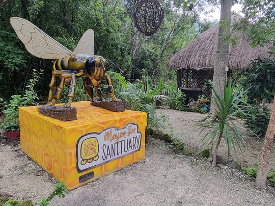Mayan Bee Sanctuary-San Miguel de Cozumel必去景点