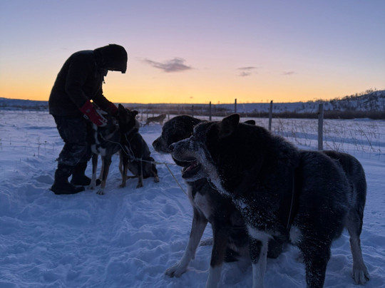 Tana Husky - Day Tours-Tana Bru必去景点
