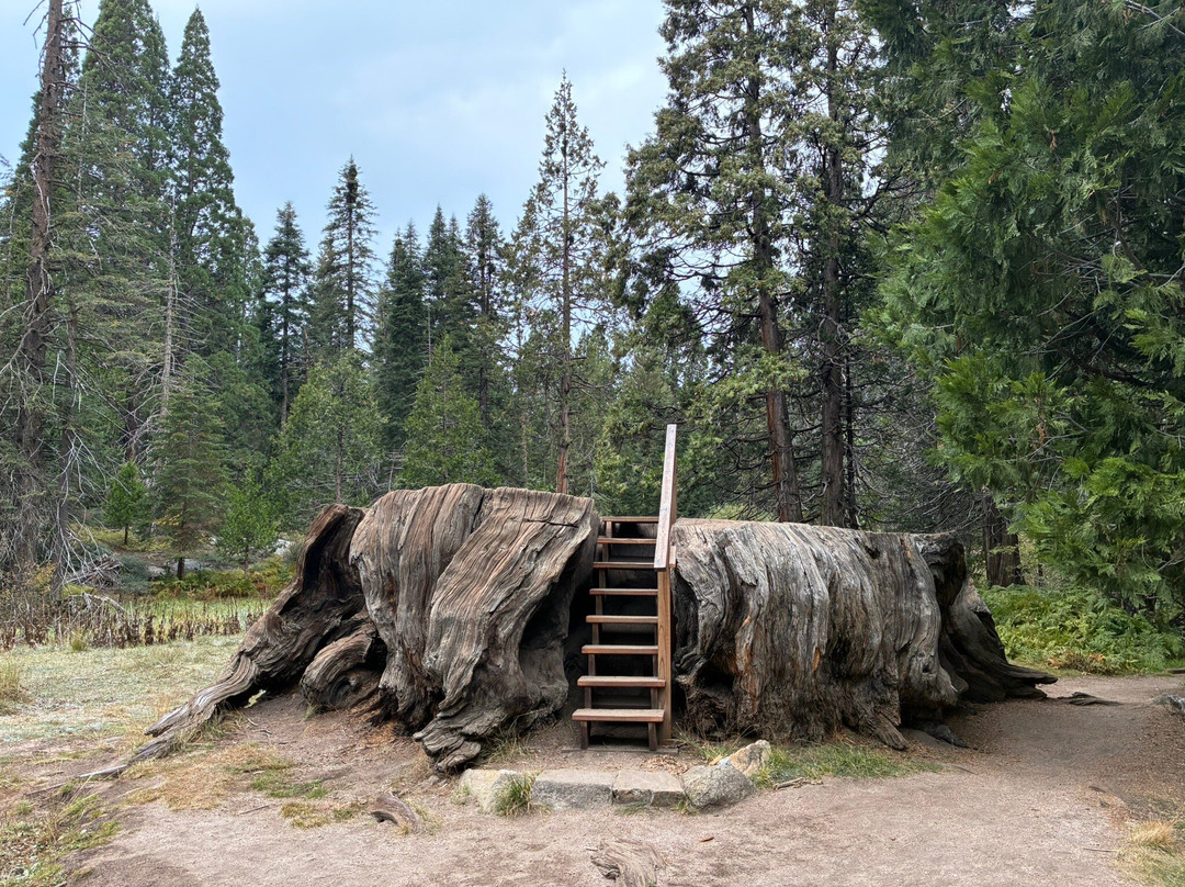 Big Stump Basin-红杉&国王峡谷国家公园必去景点
