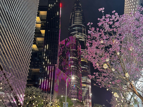 深圳湾万象城-深圳市必去景点