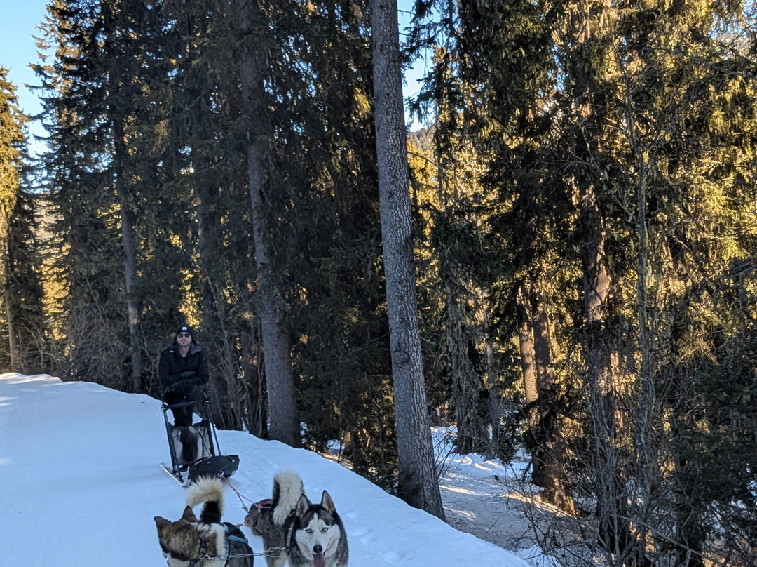 L’Aventure en Traîneau-Vinzier必去景点
