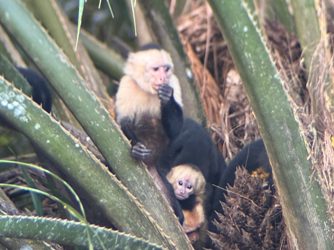 C. R. Referrals Travel-Atenas必去景点