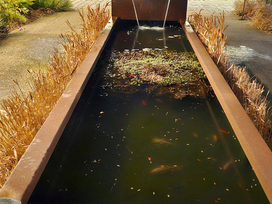 Les Jardins De L'éveil-Saint-Thonan必去景点