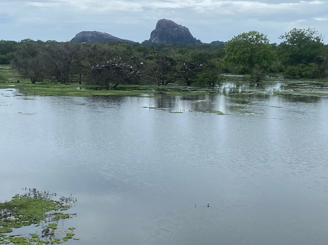 Sadeetours-Hikkaduwa-加勒必去景点