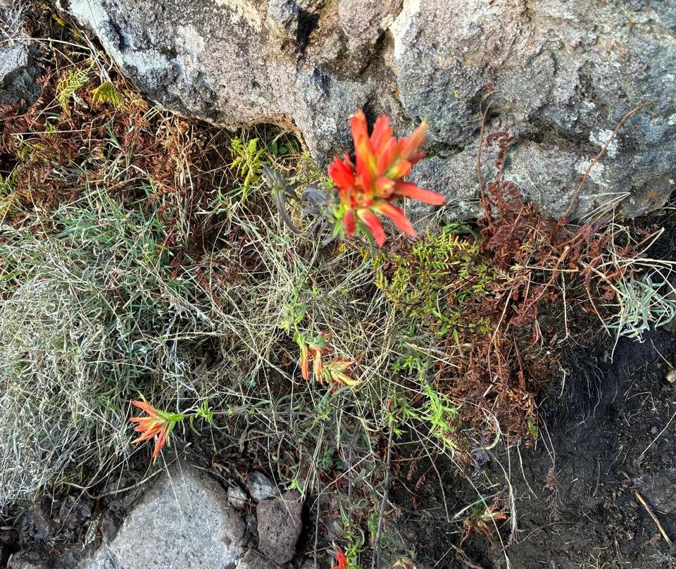 El Chico National Park-Pluma Hidalgo必去景点
