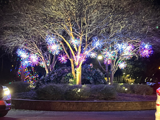 Airlie Gardens-威尔明顿必去景点