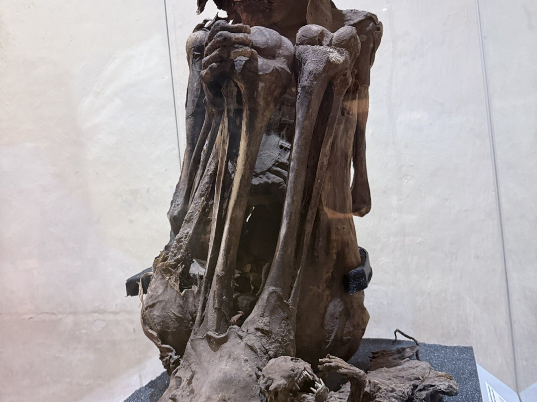 Museo Inka-库斯科必去景点