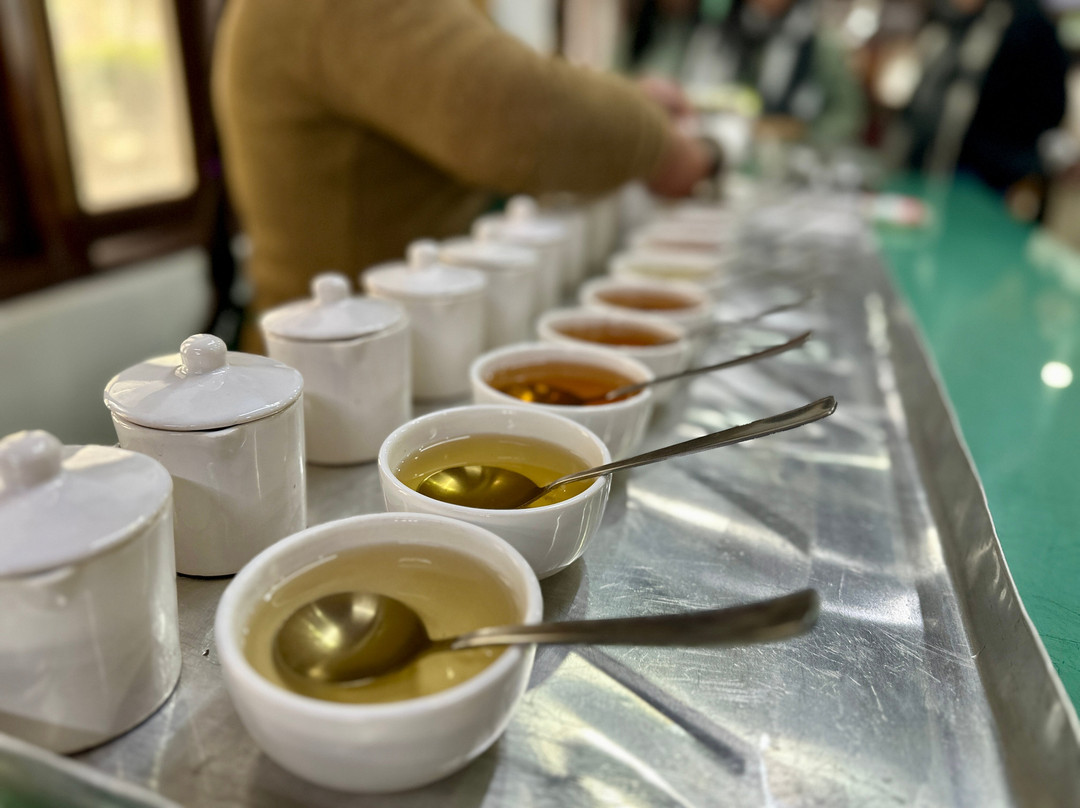 Happy Valley Tea Estate-大吉岭必去景点