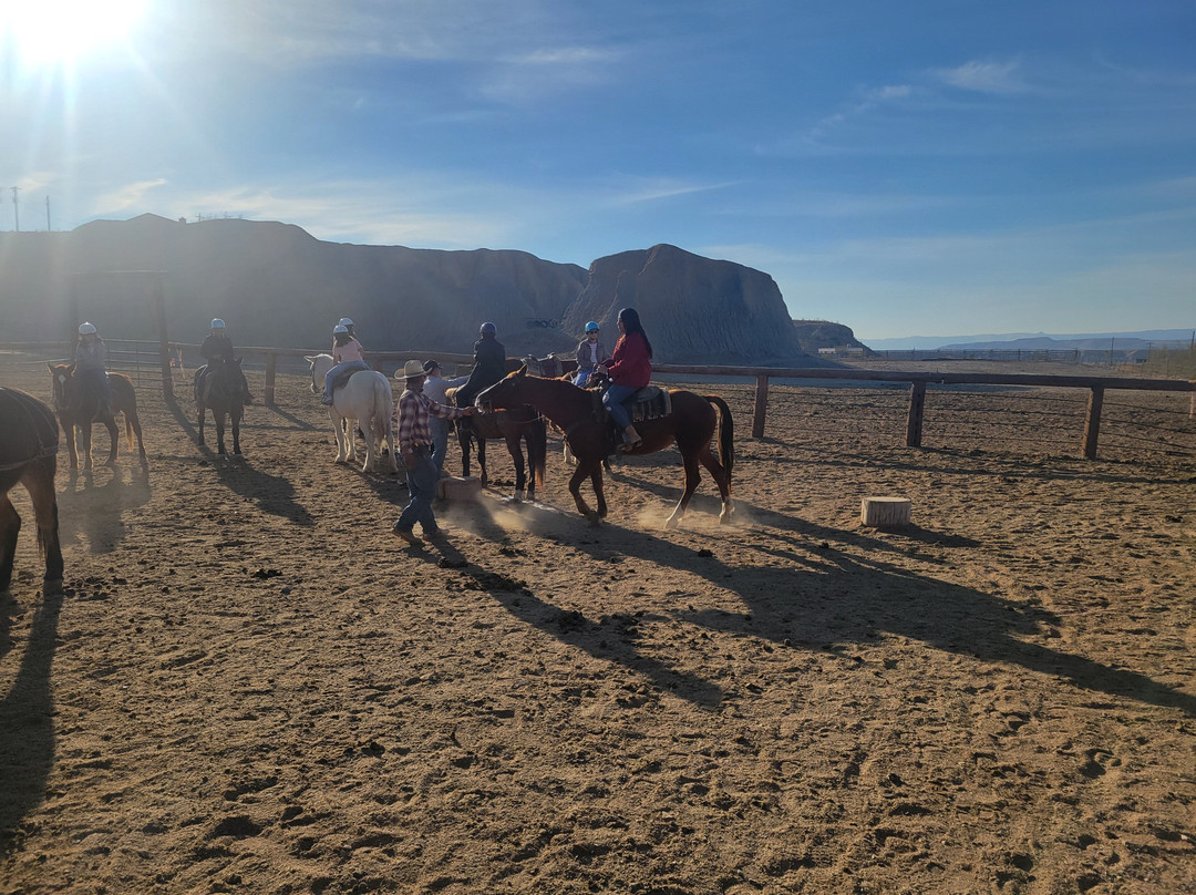 Big Bend & Lajitas Stables-Terlingua必去景点