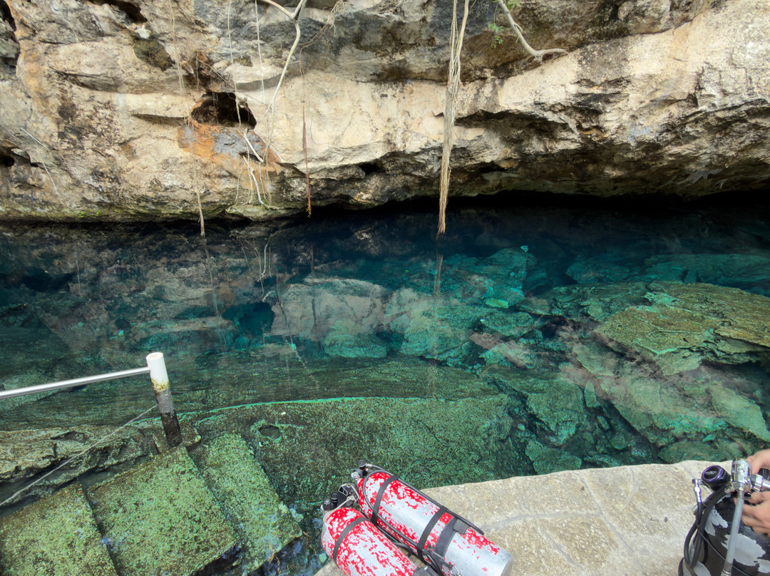 Pura Vida Diving-普拉亚德尔卡曼必去景点