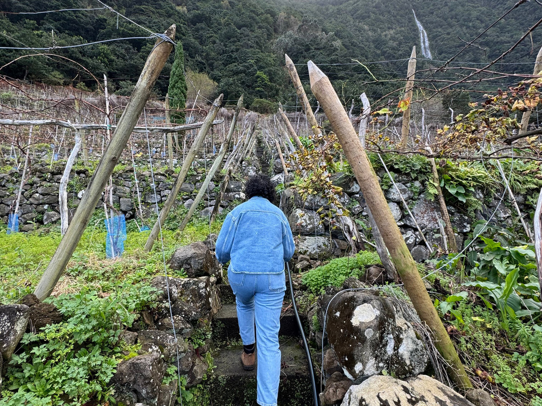 Vinha Do Véu Da Noiva-莫尼什港必去景点