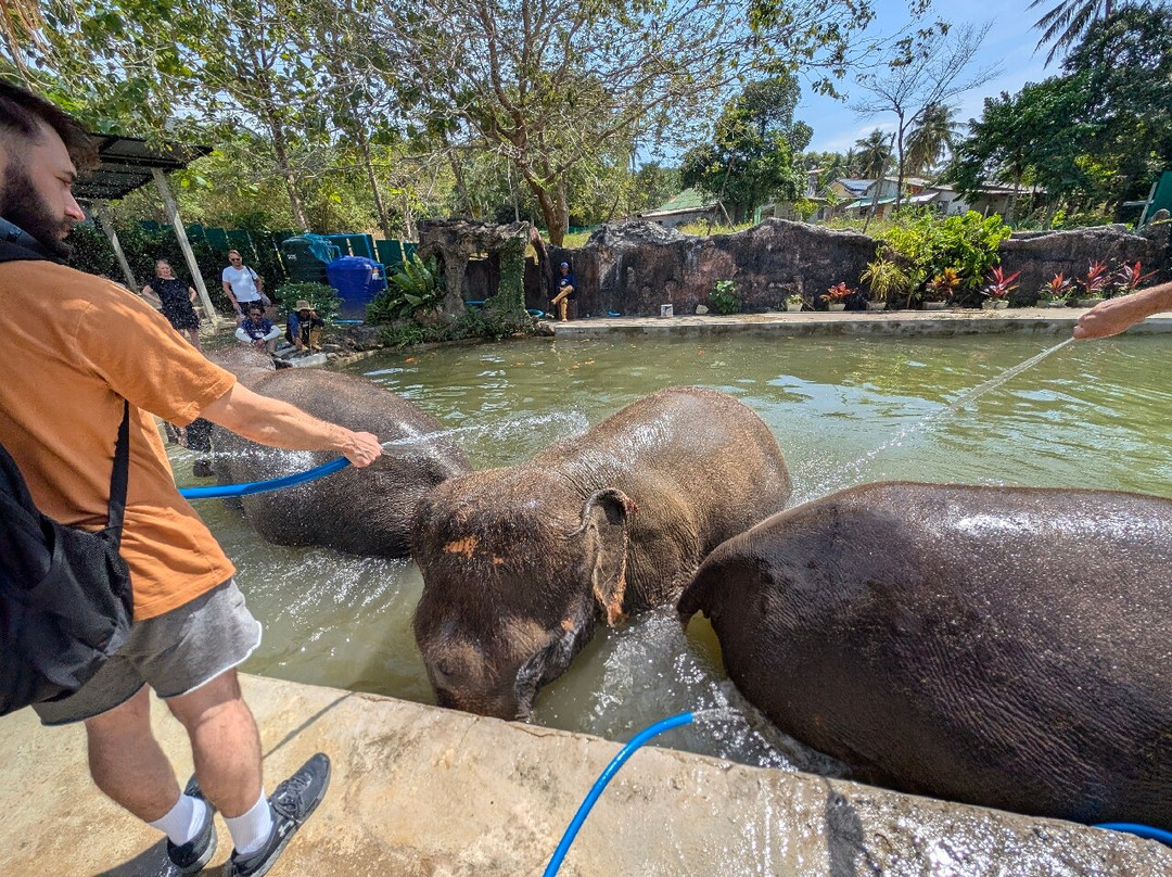 Lanta Island Elephant Lover