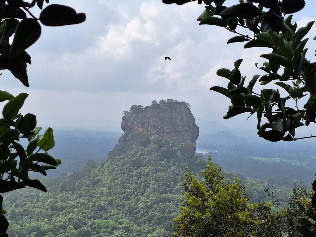 Hansali Reisen-加勒必去景点