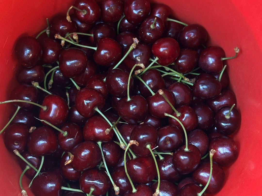 Cherryhill Orchards-Wandin East必去景点