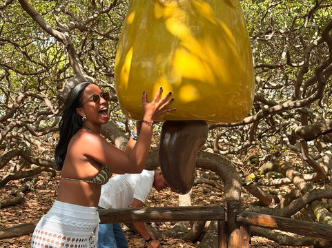 Trilha do Sol Passeios-Natal必去景点