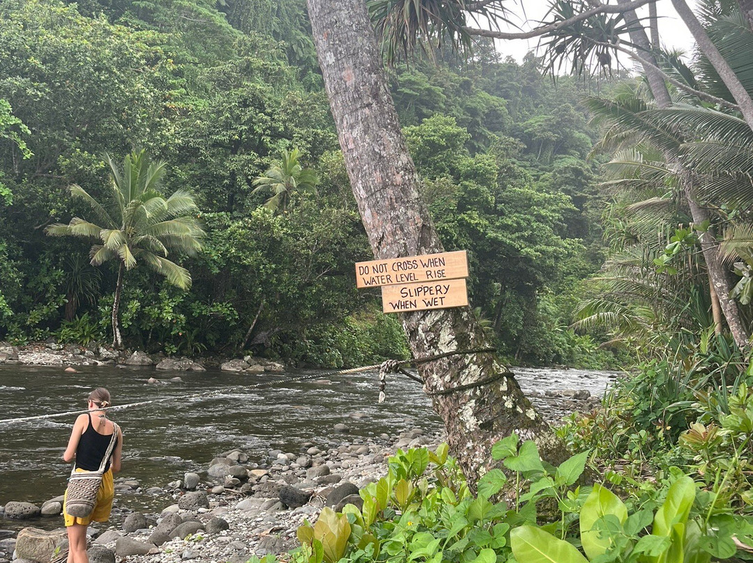 Lavena Coastal Walk-塔韦乌尼岛必去景点