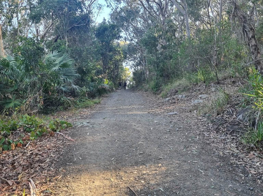 Shelly Beach, Elizabeth Beach NSW-Elizabeth Beach必去景点