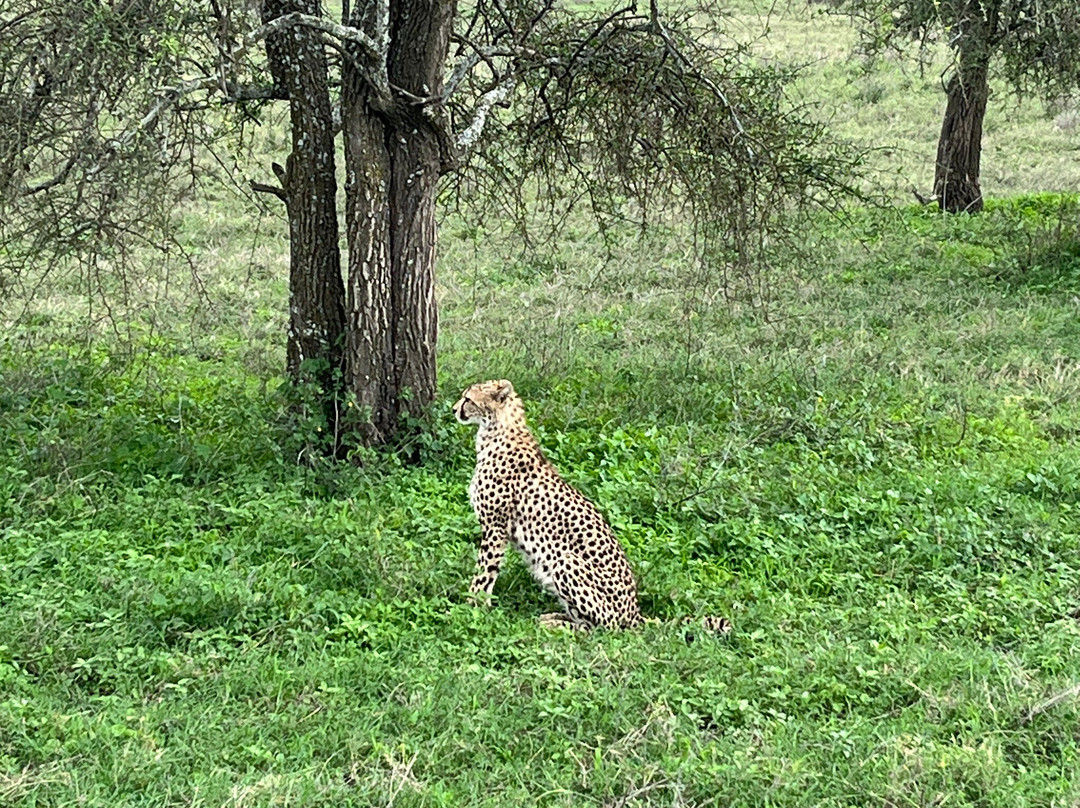 易捷旅游-一日游-阿鲁沙必去景点