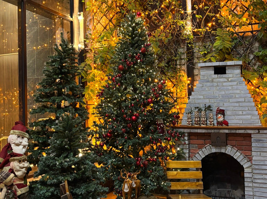 The Marron Hotel主图