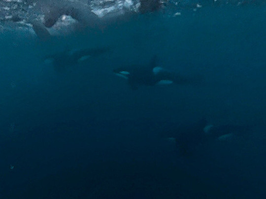 Lofoten Opplevelser-霍宁斯沃格必去景点
