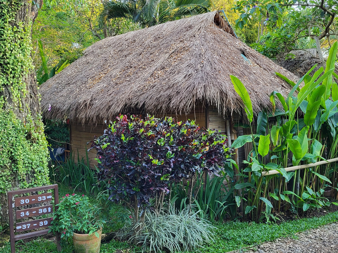芭派村酒店主图