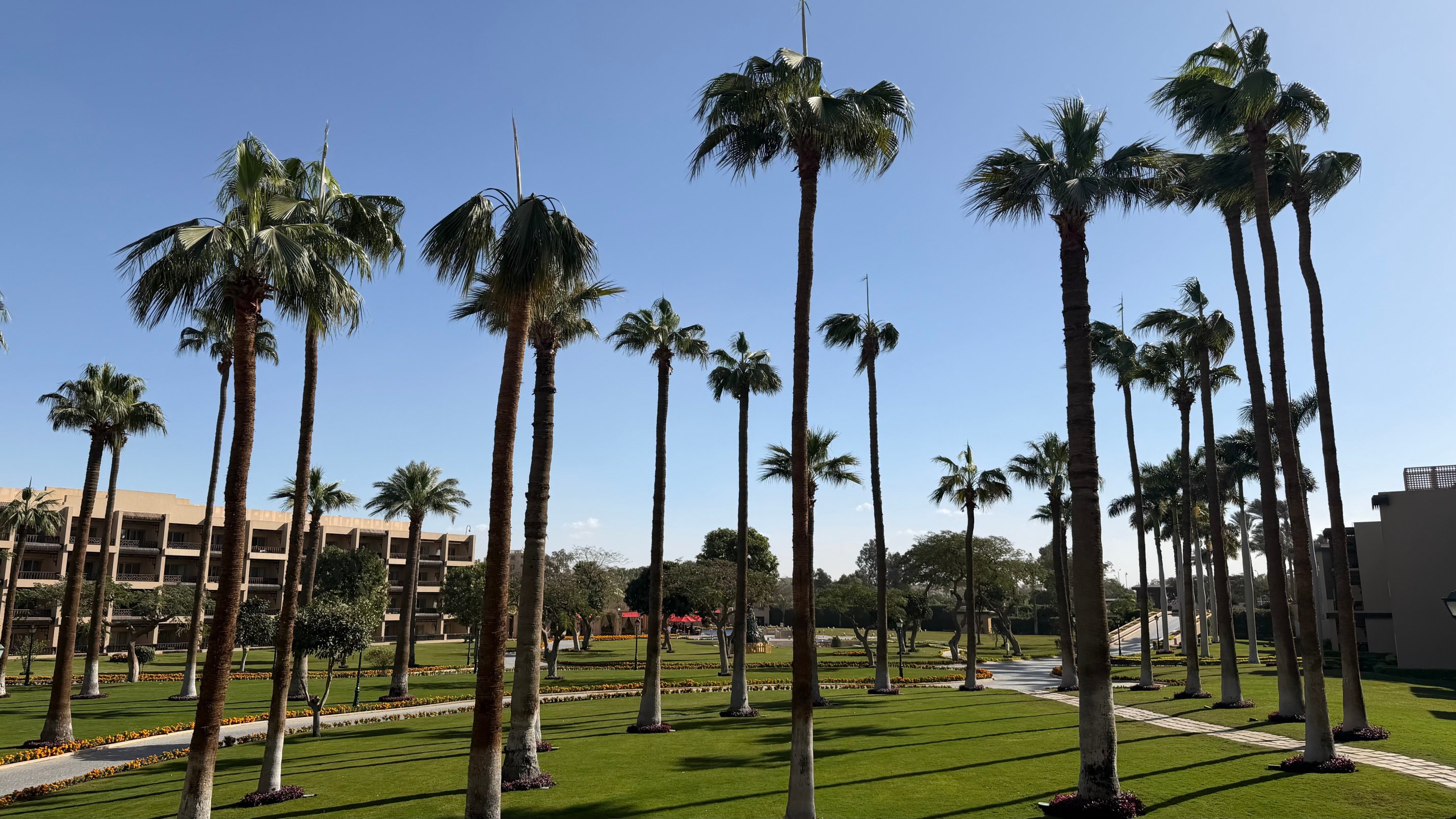 Marriott Mena House, Cairo-酒店景观