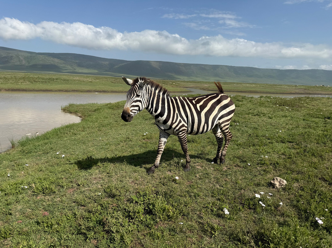 Nayla African Safaris-阿鲁沙必去景点