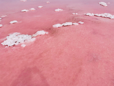 Pink Lake-卡尔巴里必去景点