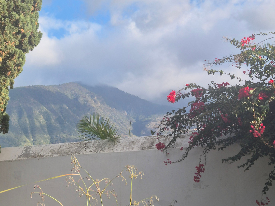 Botanischer Garten-德拉克鲁兹索尔港必去景点