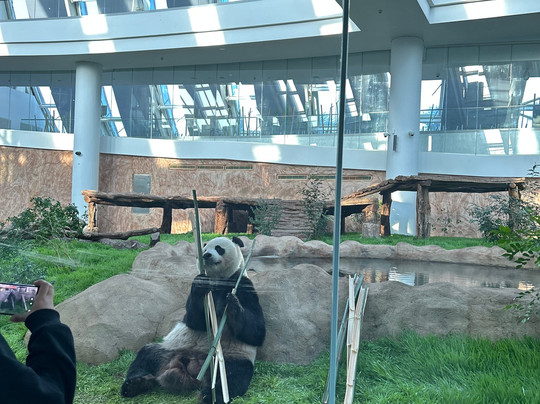 Panda House At Al Khor Park-Al Khor必去景点