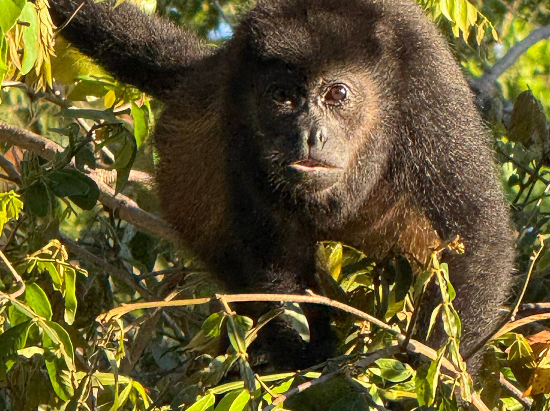 Conchal Adventures Costa Rica-孔查沙滩必去景点