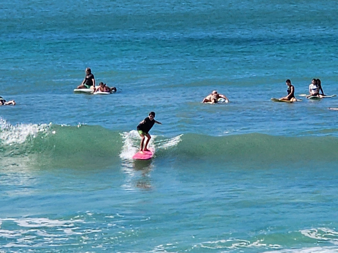 Freights bay surf school-Enterprise必去景点