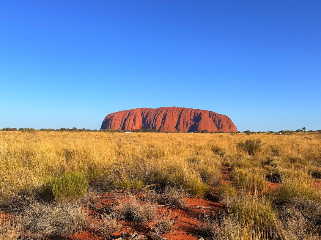 Mulgas Adventures-爱丽斯泉必去景点