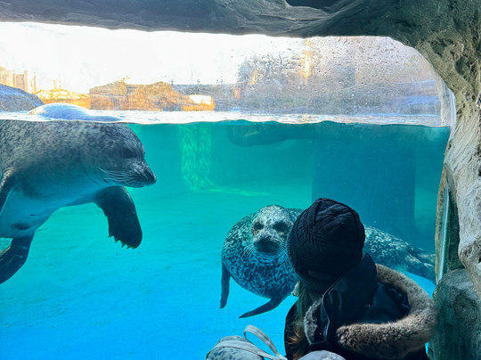 Sea Life Scarborough-斯卡伯勒必去景点