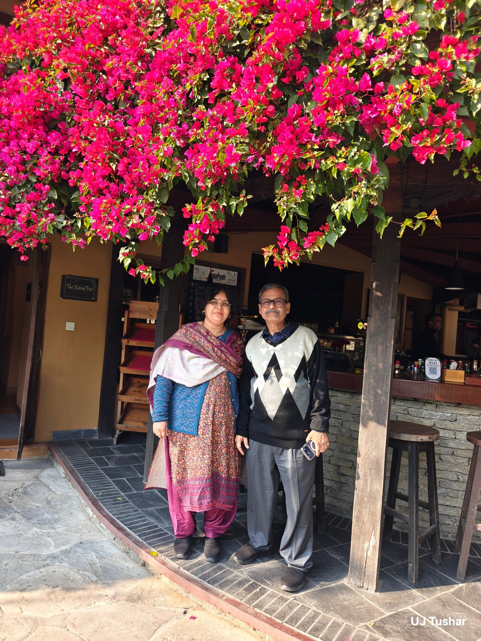 寺庙树温泉度假村-官方