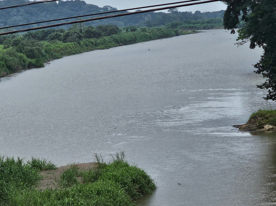 San José Birding-圣何塞必去景点